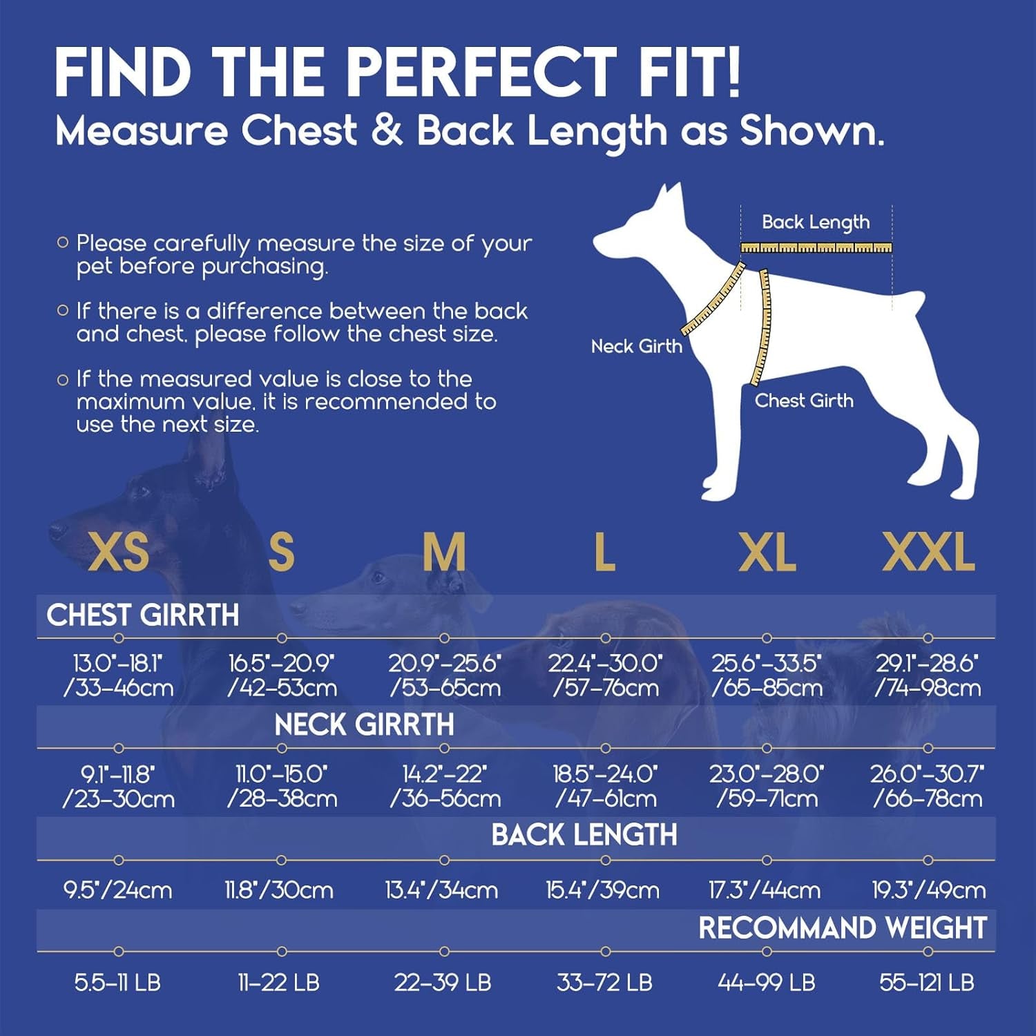 Dog Life Jacket - Premium Pet Safety Vest for Swimming and Boating, Shark Design with Floatation for Small, Medium, and Large Dogs (Blue Bandhnu, XS)