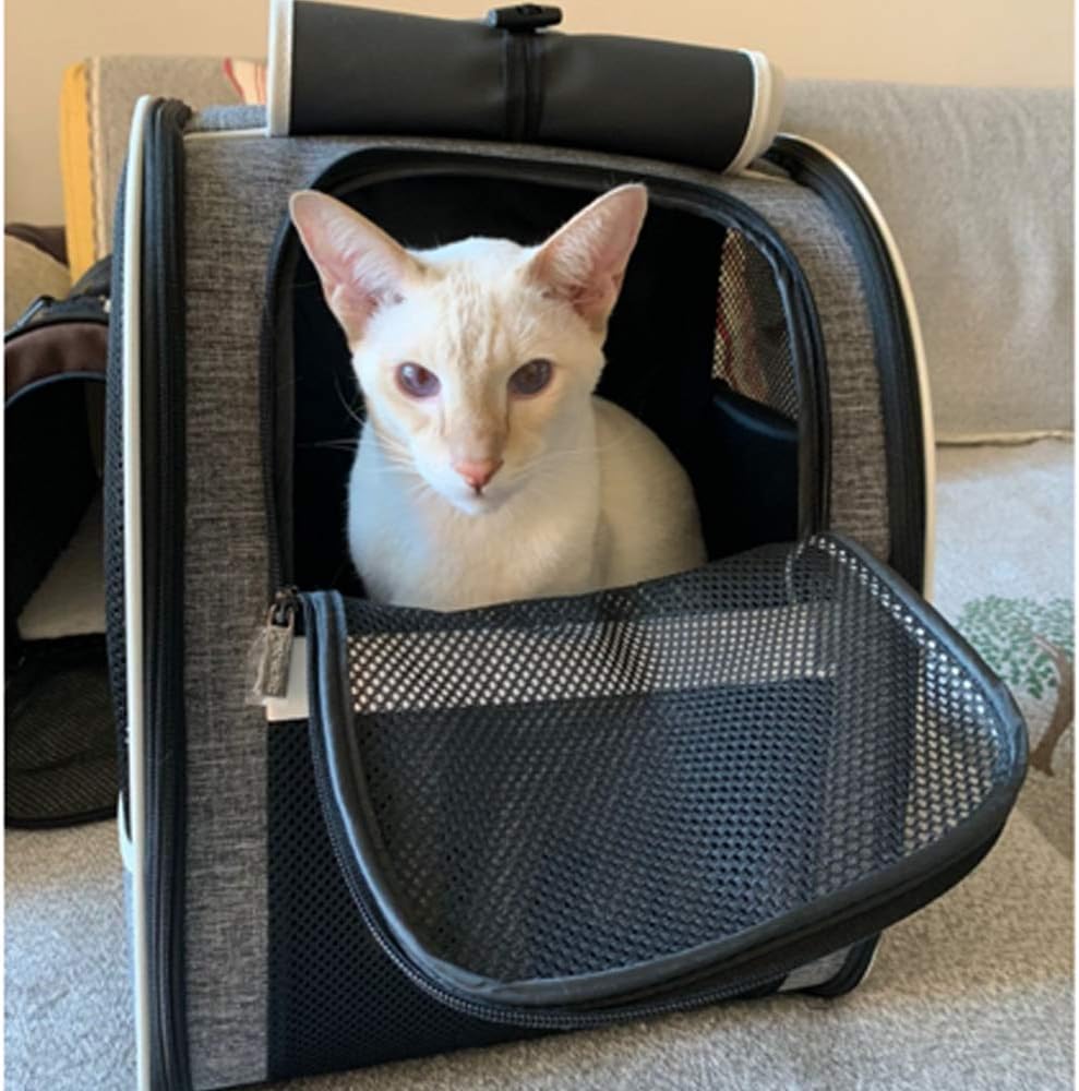 Premium Pet Carrier Backpack with Window Blind for Small Cats and Dogs, Ventilated Design, Safety Straps, Buckle Support, Collapsible for Travel, Hiking, Outdoor Adventures, and Veterinary Visits