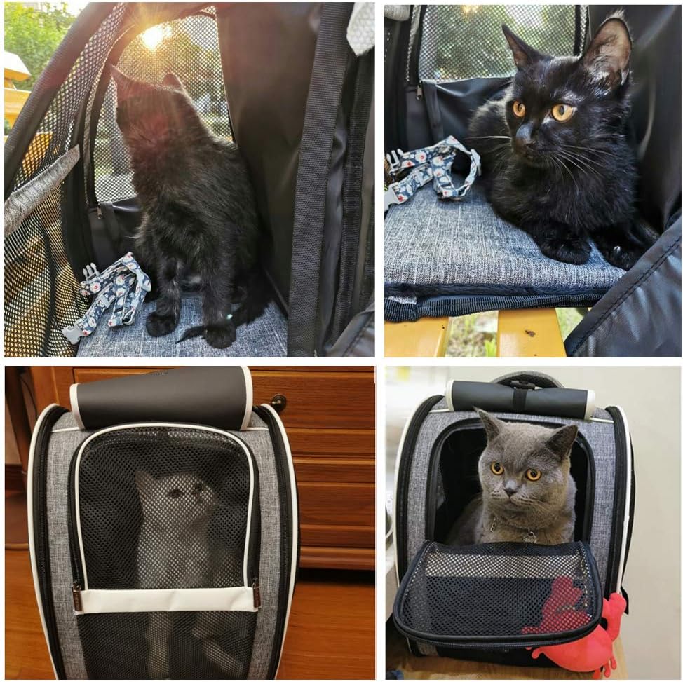 Premium Pet Carrier Backpack with Window Blind for Small Cats and Dogs, Ventilated Design, Safety Straps, Buckle Support, Collapsible for Travel, Hiking, Outdoor Adventures, and Veterinary Visits