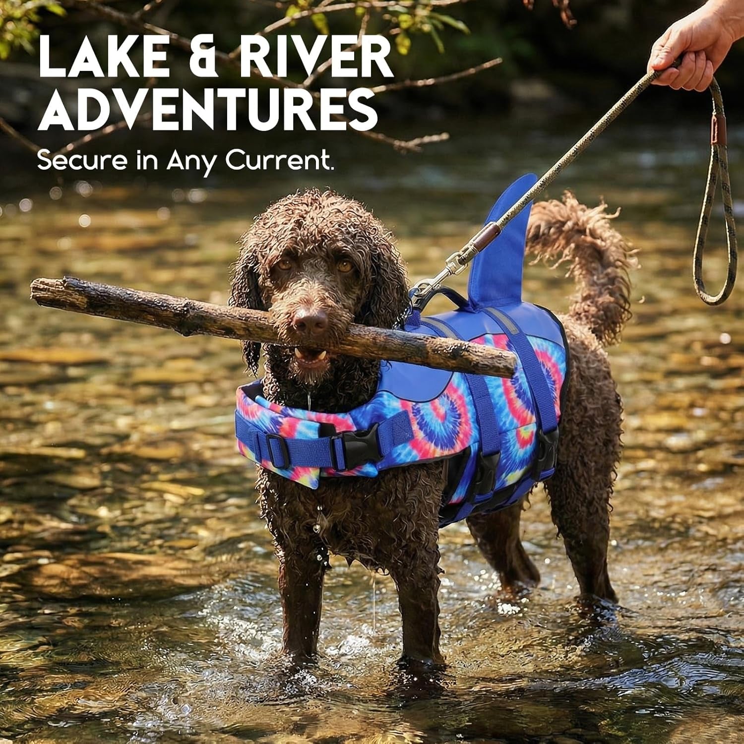 Dog Life Jacket - Premium Pet Safety Vest for Swimming and Boating, Shark Design with Floatation for Small, Medium, and Large Dogs (Blue Bandhnu, XS)